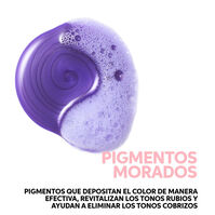 Invigo Blonde Recharge Shampoo  300ml-214520 Invigo Blonde Recharge Shampoo  300ml-214520 1